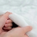 Additional Image 2