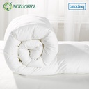Additional Image 2