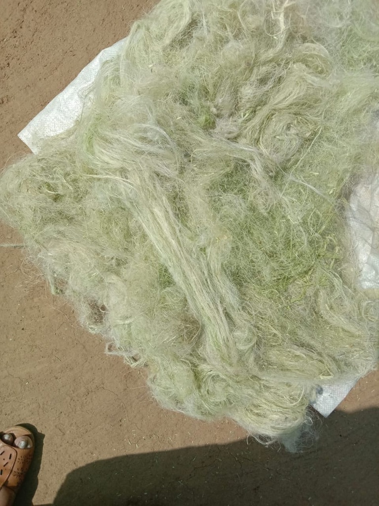 Pineapple Fiber/ Natural Fibers