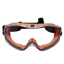 Safety Goggle