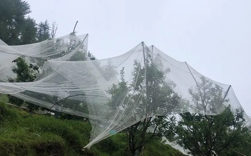 Anti-Hail Nets