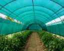 Agro Shade Nets