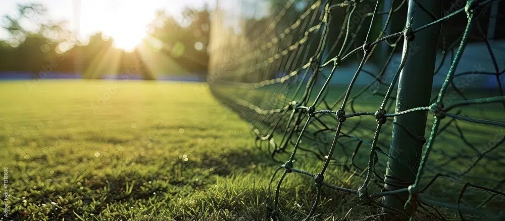 Sport Nets - Cricket Nets