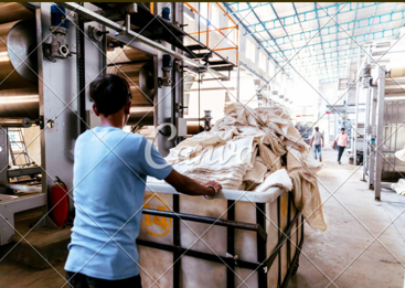  Dyeing & Processing Chemicals