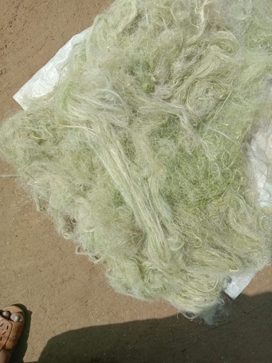 Pineapple Fiber/ Natural Fibers